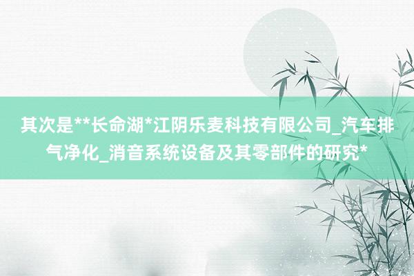 其次是**长命湖*江阴乐麦科技有限公司_汽车排气净化_消音系统设备及其零部件的研究*