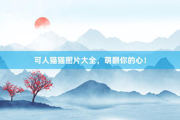 可人猫猫图片大全，萌翻你的心！