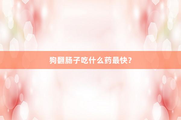 狗翻肠子吃什么药最快？