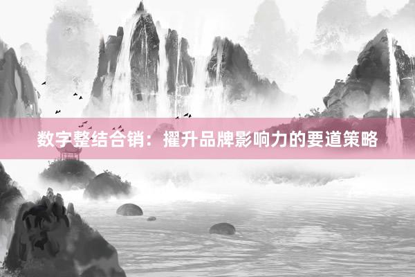 数字整结合销：擢升品牌影响力的要道策略