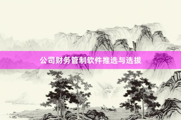 公司财务管制软件推选与选拔